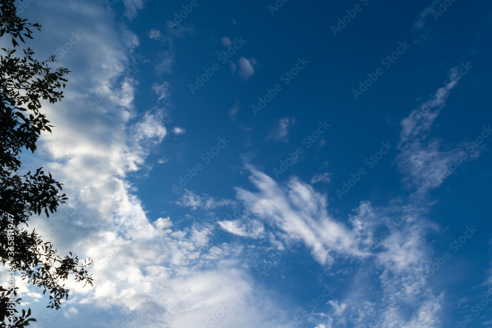 Obraz premium Summer deep blue sky with beautiful clouds.