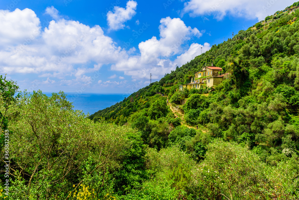 Hiking in beautiful landscape scenery between villages of Cinque Terre National Park at Coast of Italy. Province of La Spezia, Liguria, in the north of Italy - Travel destination for hiking