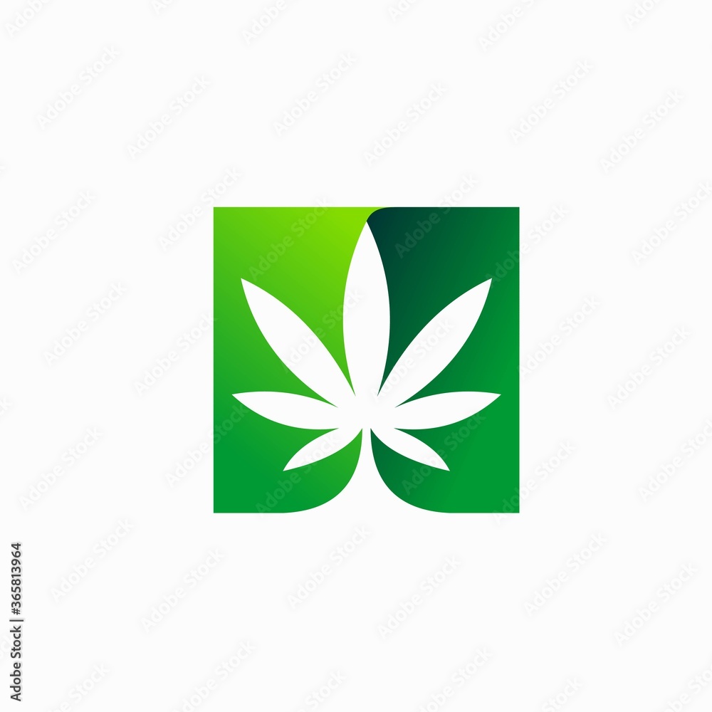 cannabis vector with square concept