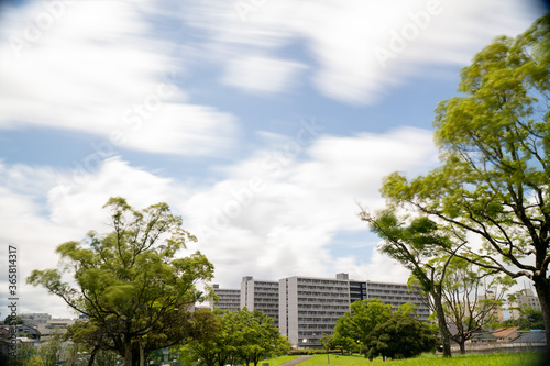 公園で撮った青空