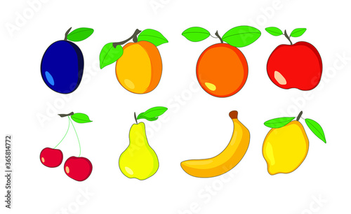 Vector set of isolated fruits on white background. 