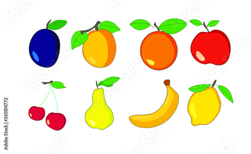 Vector set of isolated fruits on white background.  photo