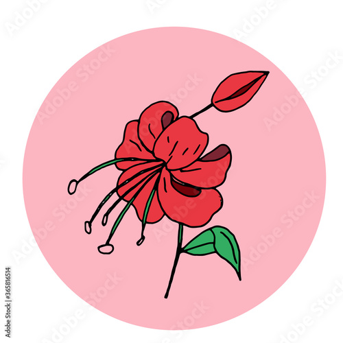 Beautiful red rose. Hand-drawn postcard. Suitable for notebooks, backgrounds, textiles
