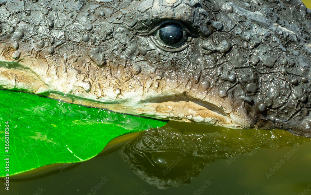 Naklejka premium Natur, Urlaub