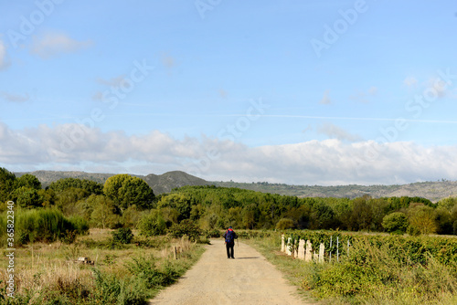 Path in the middle of nature and man walking in the background