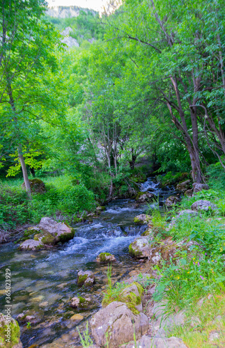 A small mountain river