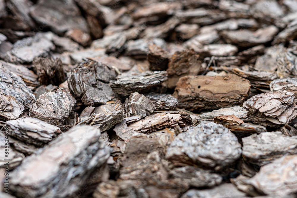 Finely chopped oak bark. Decorative design with bark. Close up Finely chopped oak bark. Decorative design with bark. Close up