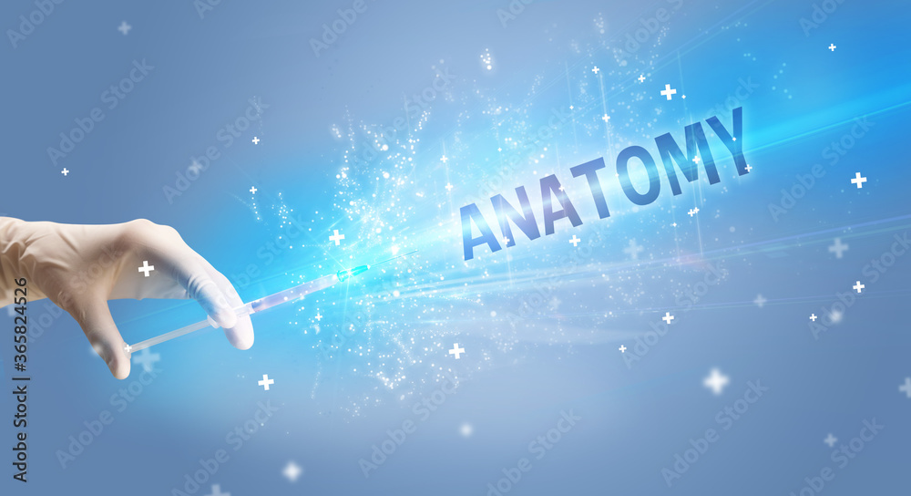 Syringe, medical injection in hand with ANATOMY inscription, medical antidote concept Syringe, medical injection in hand with ANATOMY inscription, medical antidote concept