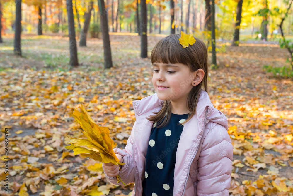 Little girl with maple leaves plays in the autumn park. Happy childhood concept.