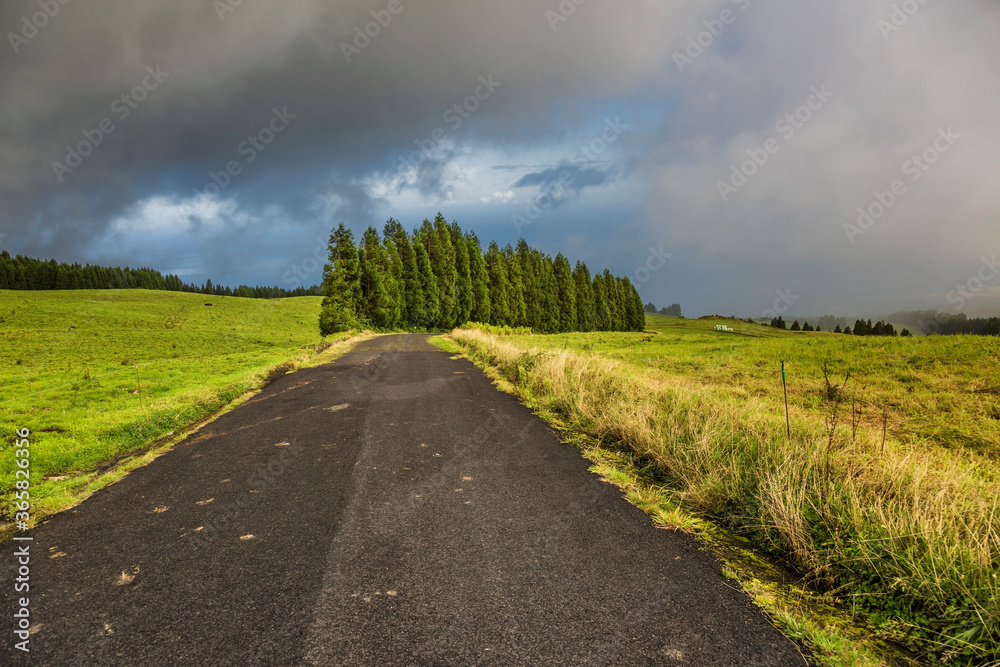 road through green hills landscape on Sao Miguel island, Portugal
