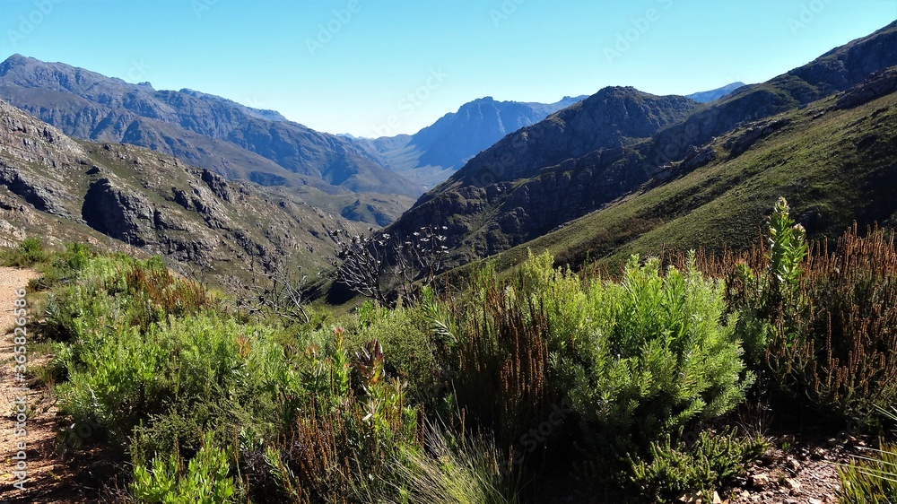 Pristine, Verdant Valley in the Cape Overberg Mountains 