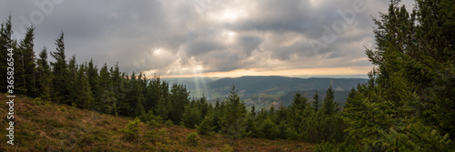 Fototapeta Naklejka Na Ścianę i Meble -  Vue plongante sur la vallée depuis le sommet du Brézouard, Alsace, Haut-Rhin, Vosges, France