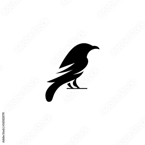 Raven logo template - Eps 10