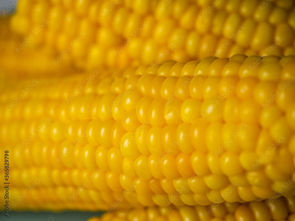 Sweet hot corn on white table