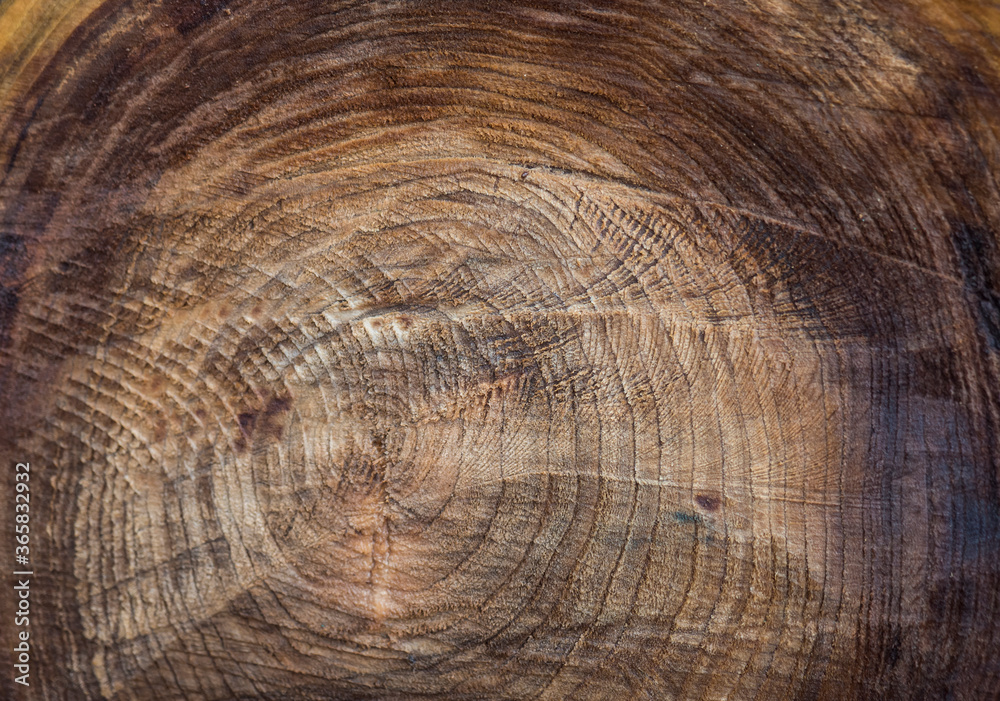 Naklejka premium A close-up of an uneven cut of a large tree, with a pattern of tree growth rings.