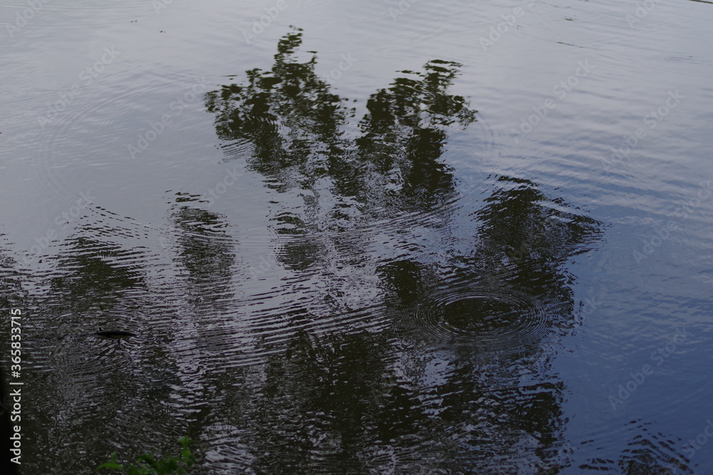 Obraz premium 波紋2