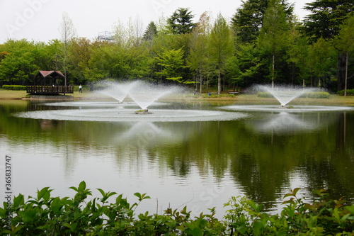 公園の噴水