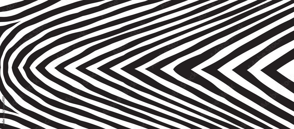 Wild Zebra Wave Pattern with black and white. Trendy Stylish Abstract Background.. Wild Zebra Wave Pattern with black and white. Trendy Stylish Abstract Background..