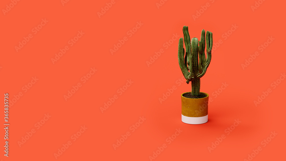 cactus or house plant in a flowerpot with earth on a red background in the studio, web banner or template, 3d rendering