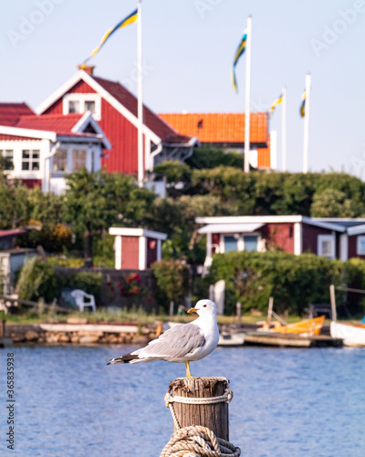 Brändaholm summer island in Karlskrona Sweden