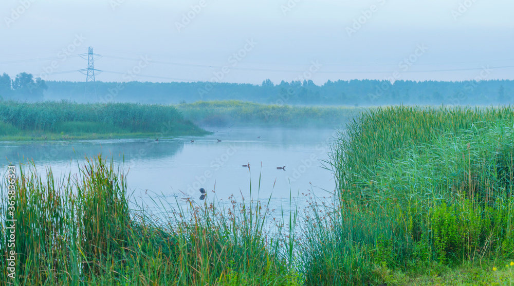 The edge of a foggy lake at sunrise in an early summer morning below a misty sky, Almere, Flevoland, The Netherlands, July 19, 2020