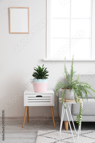 Wicker baskets with houseplants and sofa in room