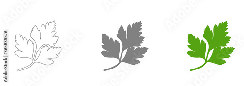 Fresh green parsley leaves on white background. Parsley isolated. Vector illustration