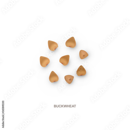 Realistic buchwheat for healthy eating. 3d render. Raster illustration isolated on white background. photo