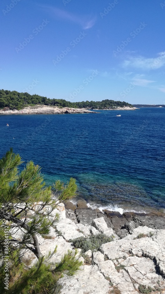 Fototapeta premium Mediterranean Sea Coastal Landscape Photography | Croatia Adriatic Sea Nature | Wild Natural Place to Visit And Explore | Blue Water | Ocean Greece Vertical Photo | Beach Seascape
