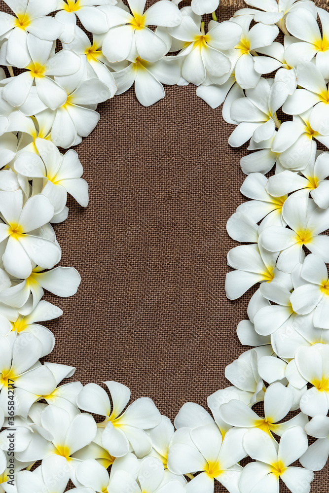 Plumeria flower background on sackcloth.