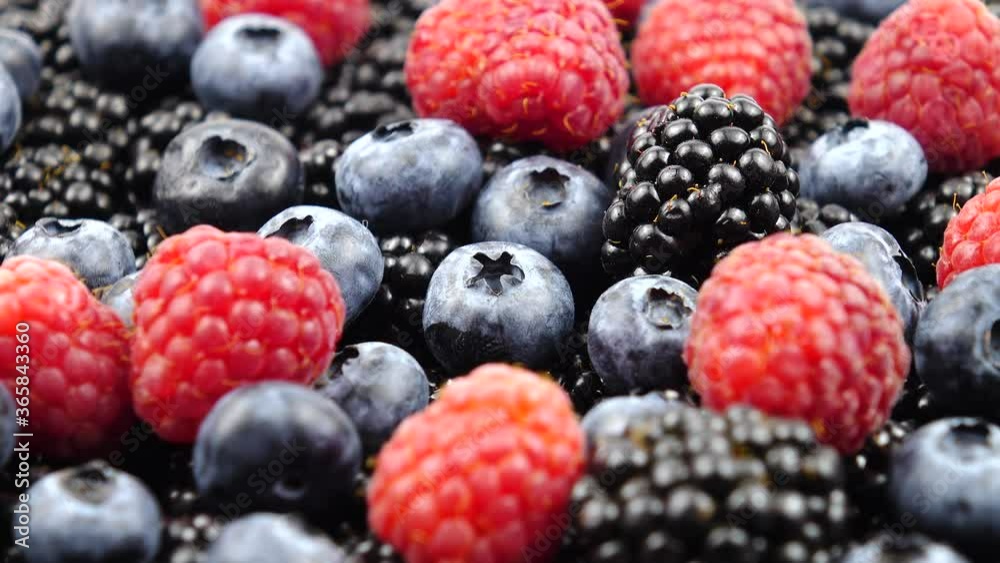 Ripe raw berries of raspberry, blackberry and bog whortleberry, background Ripe raw berries of raspberry, blackberry and bog whortleberry, background