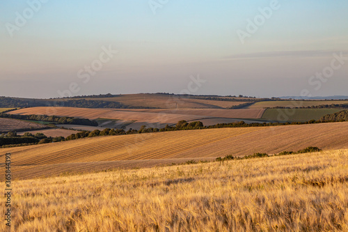 A South Downs Landscape with Evening Light