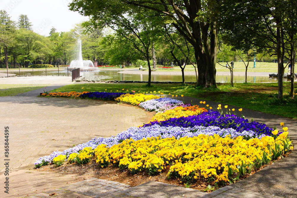 Obraz premium 公園に咲く花々