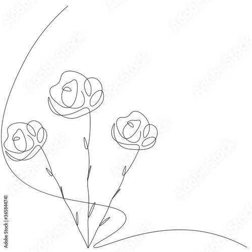 Roses flowers love background. Vector illustration