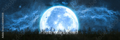 large moon sets over the ocean horizon and illuminates the grass on the shore photo