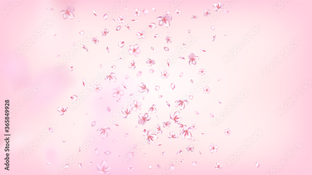 Nice Sakura Blossom Isolated Vector. Summer Blowing 3d Petals Wedding Border. Japanese Bokeh Flowers Illustration. Valentine, Mother's Day Pastel Nice Sakura Blossom Isolated on Rose