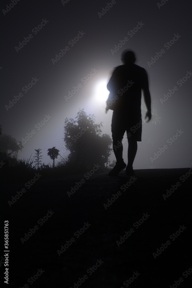 silhouette of a man walking in the forest silhouette of a man walking in the forest