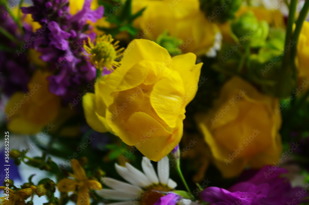 Fototapeta premium Close up of still life with bouquet of spring wild flowers. Mixed colorful wildflowers on natural background. Spring or summer floral backdrop.