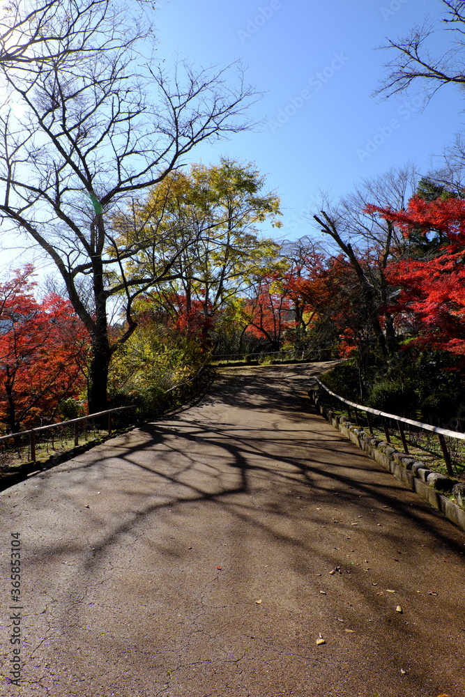 Naklejka premium 総本山 奈良 長谷寺 NARA Hasedera Temple