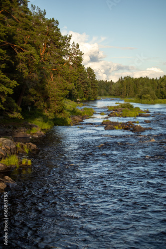Riverside at a Finnish forest with white clouds and greenery. Natural Finnish landscape at Koitelinkoski, Finland.
