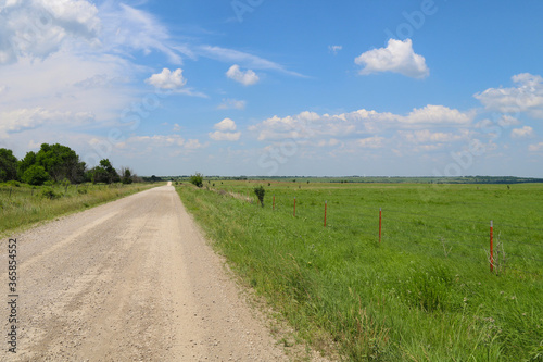 a flat rural marshland scene with a dirt road and bright blue sky overcast above perfect for seasonal marketing as well as cards posters signs and background backdrop wallpaper