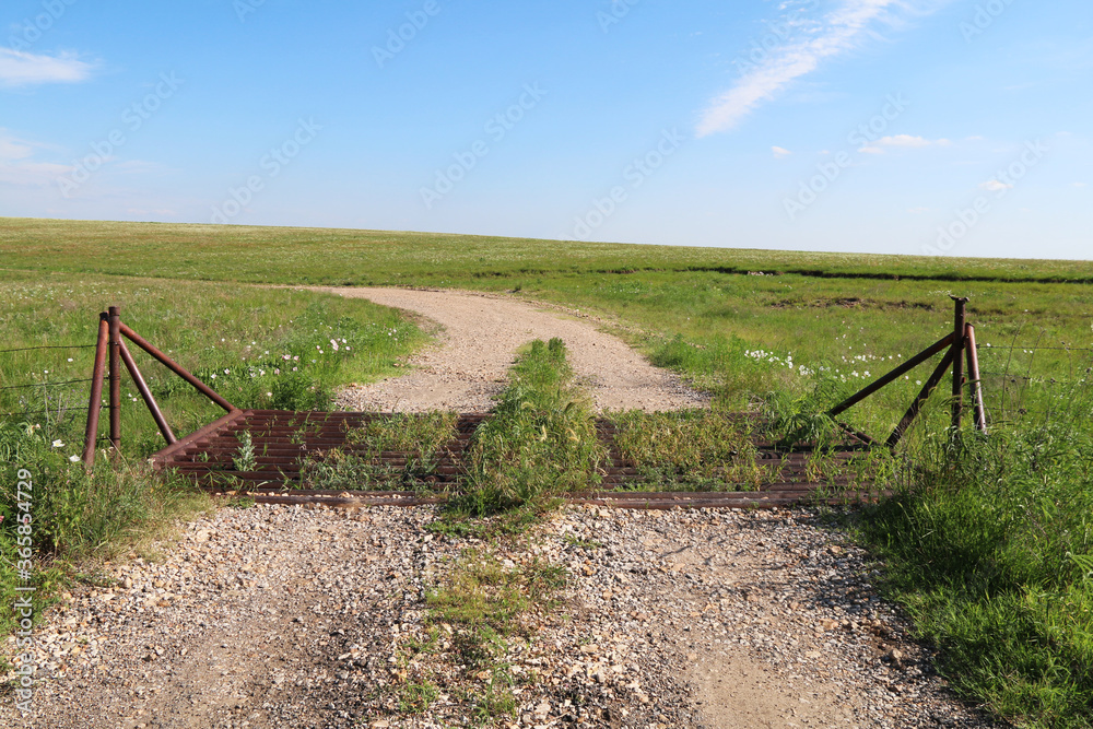 a pasture cattle crossing and dirt road running through a grassy hillside beneath a bright blue sky perfect for seasonal marketing as well as cards posters signs and background backdrop wallpaper a pasture cattle crossing and dirt road running through a grassy hillside beneath a bright blue sky perfect for seasonal marketing as well as cards posters signs and background backdrop wallpaper