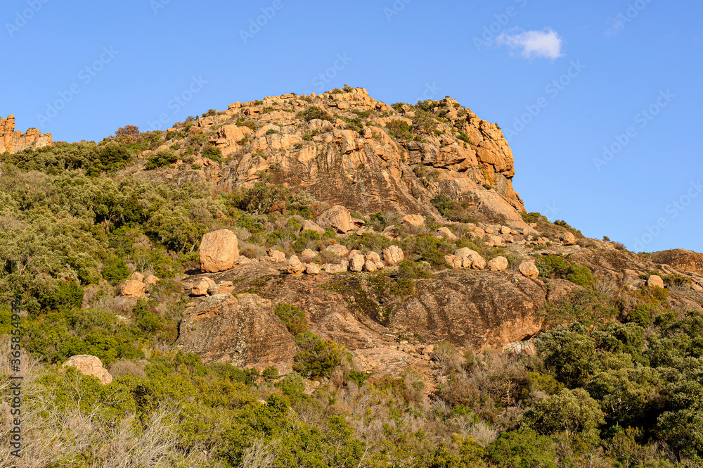 Top of a mountain called Roquebrune Rock. The pink sandstone stands out against the blue sky of Provence.