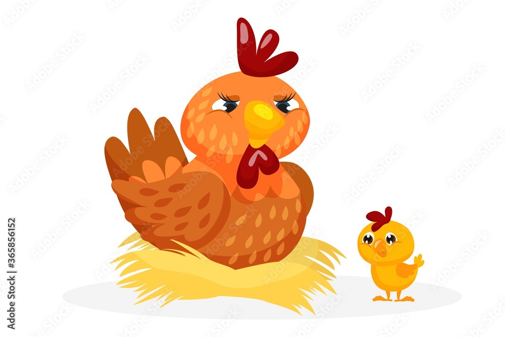 Poultry bird. Mother hen sitting in straw nest and little baby chicken vector illustration. Farm creature fowl family icon isolated on white background Poultry bird. Mother hen sitting in straw nest and little baby chicken vector illustration. Farm creature fowl family icon isolated on white background