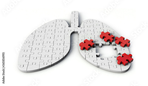 Puzzle pieces in shape of Lung. Lung shaped jigsaw 3d illustration isolated on white background.