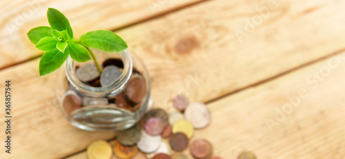 A glass jar with coins and a plant in it, several coins nearby on a wooden table, view from the top. Finance and investment concept.