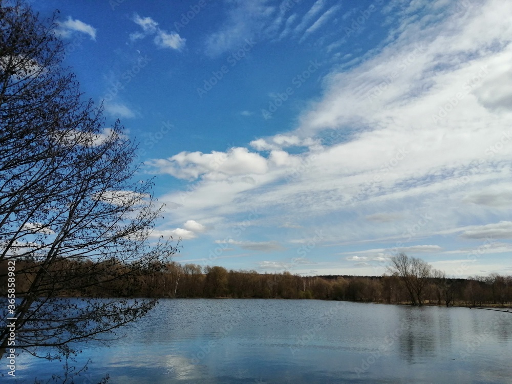 lake in the forest lake in the forest