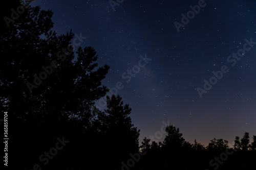 Landscape with dark blue night sky with stars, beautiful milky way on a clear night in the forest next to dark silhouette field of trees. Britannia Park