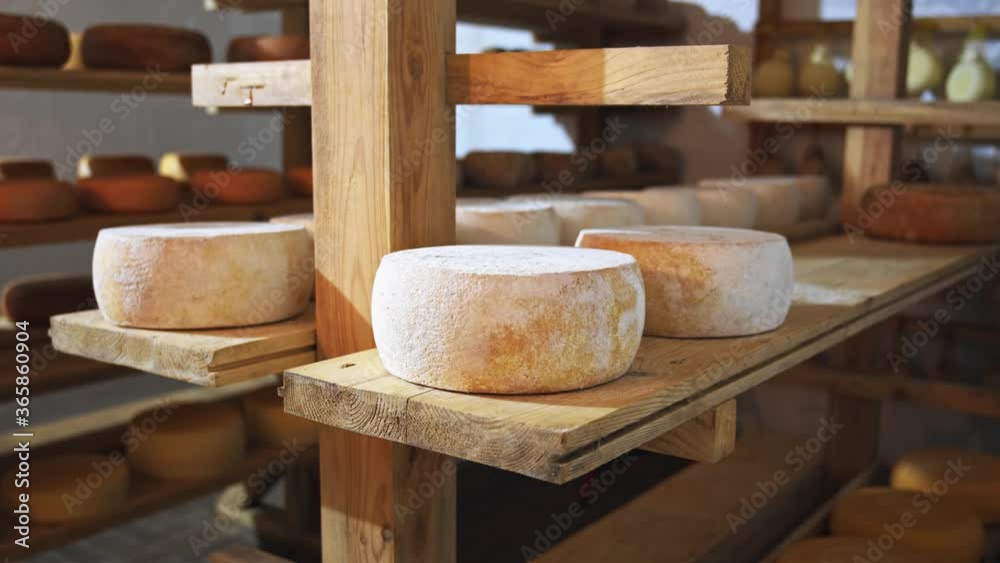 Video „Milky farm shelves closeup. Assortment of cheese wheels in ecofriendly farmer store