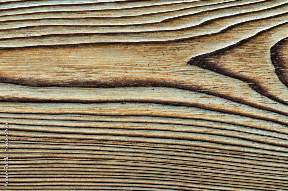 Fototapeta premium Vintage wood texture with knots.